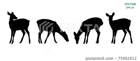 Vector of deers silhouette set, isolated on white background. Vector of deers silhouette set, isolated on white background. 75002812