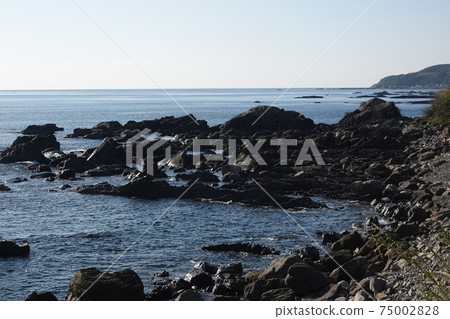 高知縣黑潮町白濱海岸的珊瑚礁 高知縣黑潮町白濱海岸的珊瑚礁 75002828