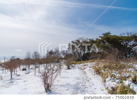 Near the summit of Mt. Rokko 75002839