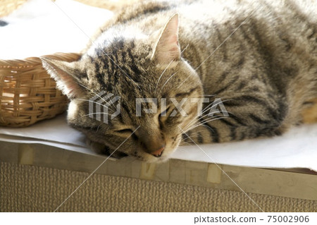 It feels good It feels good 75002906