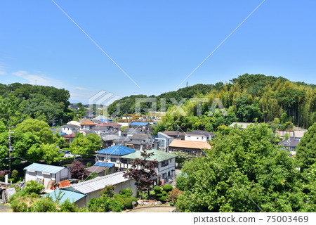 Suburban houses 75003469