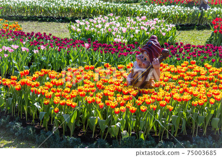 Urban Garden Shilin Official Residence Tulip Seasonal Flower Show 75003685