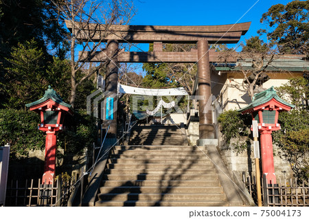 神奈川縣藤澤市江之島神社鳥居鳥居 神奈川縣藤澤市江之島神社鳥居鳥居 75004173