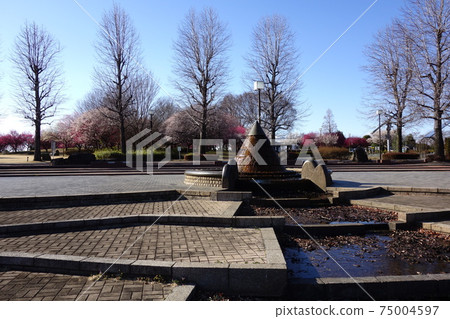 Plum in Honjo Park 75004597