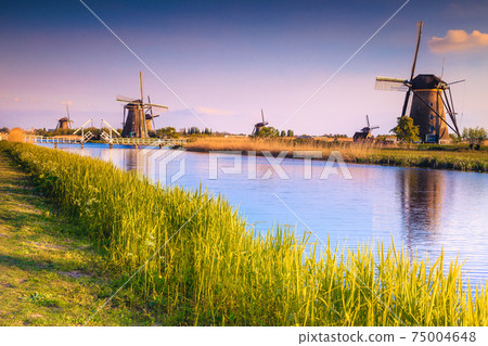 Cute old windmills on the shore in Kinderdijk museum, Netherlands 75004648