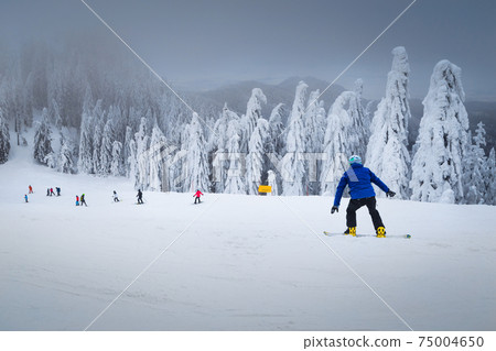 Winter ski resort with skiers and snowboarders, Transylvania, Romania Winter ski resort with skiers and snowboarders, Transylvania, Romania 75004650