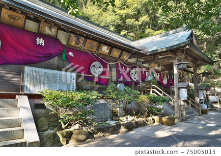 [Kinomoto Hachimangu]和歌山縣和歌山市Nishinosho 75005013