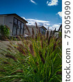Beautiful view of holiday mobile homes from the perspective of grass 75005090