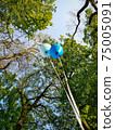 Low angle shot of helium balloons in the park on the background of trees. The freedom concept 75005091