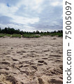 Beautiful view of dunes and sands in the Baltic Sea, Poland 75005097