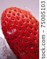 Macro view of the seeds of the ripe red strawberry and a piece of ice on it on a white background 75005103