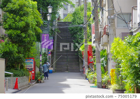 Yushima Tenjin's Tenjin Otokozaka and Gakumon no Michi in Bunkyo-ku, Tokyo 75005179