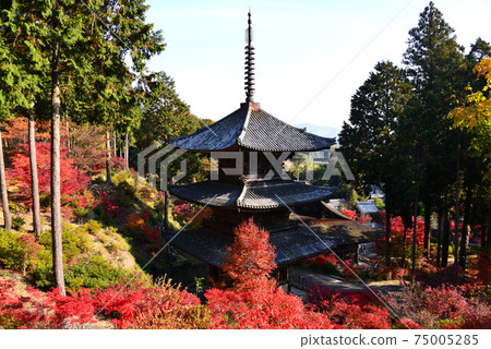 Konan Sanzan Jorakuji Autumn Leaves 75005285