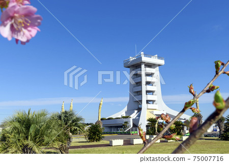 Hasunuma Kaihin Park Observatory and Sakura 75007716