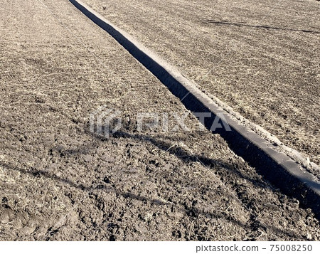 Winter rice field soil making Winter rice field soil making 75008250