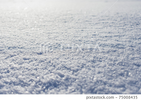 Snowy surface, the surface covered with a dense layer of snow in winter in the rays of the sun 75008435