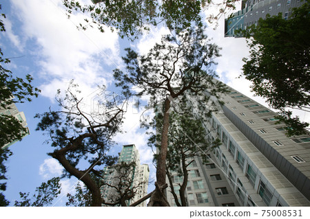 Blue sky and apartment complex, 75008531
