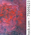 Beautiful abstract background. Pouring acrylic paint on canvas. 75009223