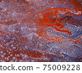Beautiful abstract background. Pouring acrylic paint on canvas. 75009228
