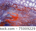 Beautiful abstract background. Pouring acrylic paint on canvas. 75009229