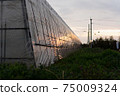 Greenhouse and dusk 75009324
