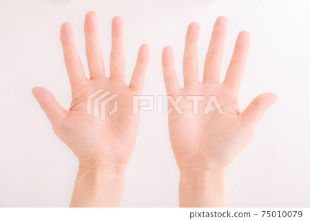 手勢 75010079