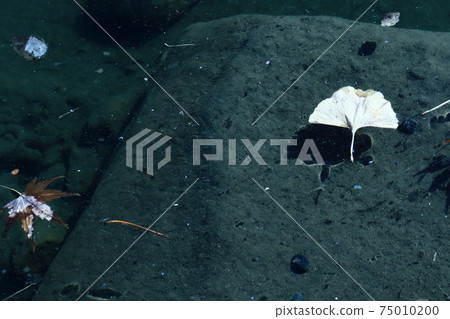 A pond A pond 75010200