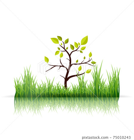 Green Grass and Tree on white Background. Ecology jpeg Illustration 75010243
