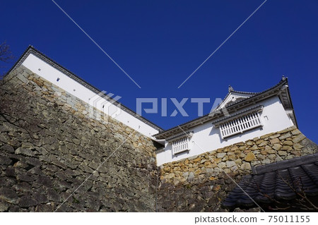 "Tsuruyama Park (Tsuyama Castle Toe)", one of the 100 best cherry blossom viewing spots in Tsuyama City, Okayama Prefecture: Looking up at the Bichu Tower from Ninomaru "Tsuruyama Park (Tsuyama Castle Toe)", one of the 100 best cherry blossom viewing spots in Tsuyama City, Okayama Prefecture: Looking up at the Bichu Tower from Ninomaru 75011155