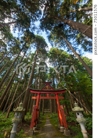 Sanno Hiyoshi Shrine的Sanno Torii 75011576