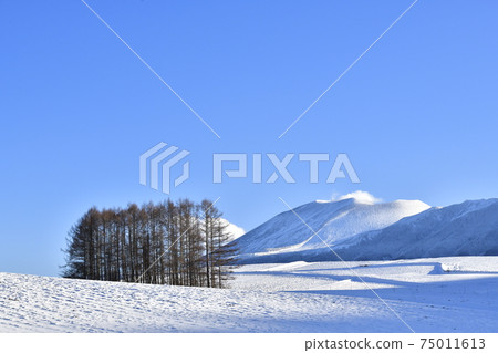 Healed by the winter scenery of Tsumagoi Village Healed by the winter scenery of Tsumagoi Village 75011613