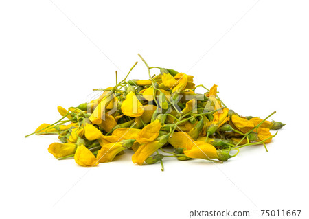 Heap of Yellow flower Sesbania isolated on white background 75011667