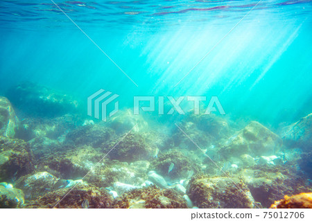 Underwater Sunlight Rocky Seabed Mediterranean Sea Stock Image