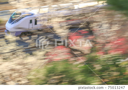 紅梅和常磐線日立 75013247