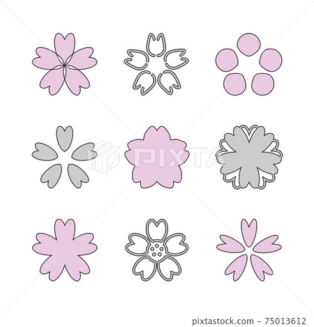 Sakura Sakura Pink Vector 75013612