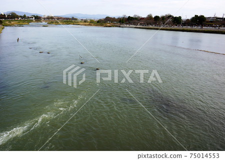 Hozugawa的景觀 75014553