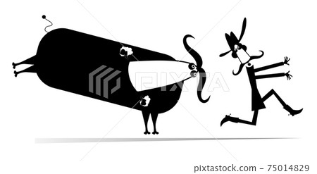 Farmer or cowboy and angry bull illustration. Frightened long mustache farmer or cowboy in cowboy hat runs away from the angry bull black on white 75014829