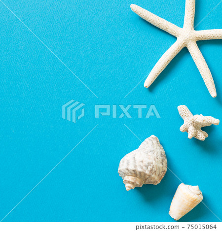 Shellfish and starfish on blue background. summer marine decoration. flat lay, top view, copy space Shellfish and starfish on blue background. summer marine decoration. flat lay, top view, copy space 75015064