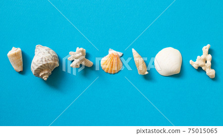 Shellfish on blue background. summer marine decoration. flat lay, top view, copy space Shellfish on blue background. summer marine decoration. flat lay, top view, copy space 75015065