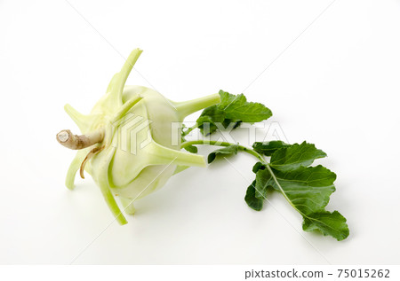 Kohlrabi 75015262