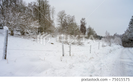 An icy and snowy winter road going through a meadow and forest landscape. Picture from Scania, Sweden 75015575