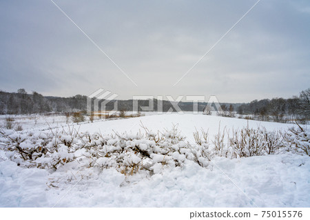 A winter landscape covered in snow on a crispy cold winter day. Picture from Scania, Sweden 75015576