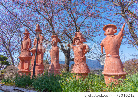 哈尼瓦和櫻花（御殿場市感謝山） 75016212