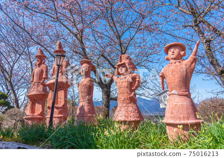 哈尼瓦和櫻花（御殿場市感謝山） 75016213