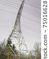Overhead power line low angle shot 75016628