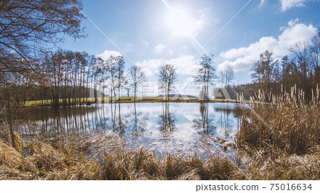 Sunny day on a small pond in winter Sunny day on a small pond in winter 75016634