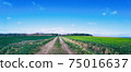 Dirty farm road with wide blue sky and green fields 75016637