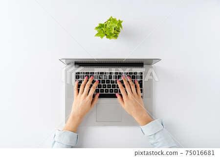 Young woman hands using laptop on white table with flower. Office desktop. Top view 75016681