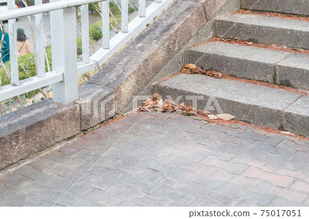 Fallen leaves on the stairs 75017051