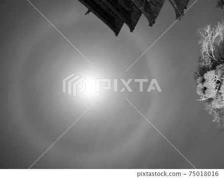 Bitchū Kokubunji Five-storied Pagoda Tsukibuki 75018016